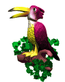 tropical_bird_mw.gif