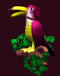 tropical_bird_lc.gif