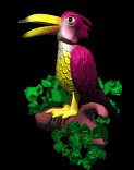 tropical_bird_lb.gif