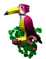 tropical_bird_hr.jpg