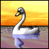 swan_swim_sw.gif