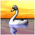 swan_swim_sb.gif
