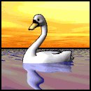 swan_swim_lw.gif