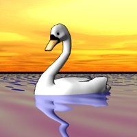 swan_swim_hr.jpg