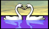 swan_heart_mw.gif