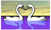 swan_heart_mb.gif