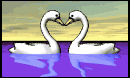 swan_heart_lw.gif