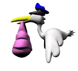 stork_delivering_girl_lw.gif