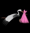stork_baby_delivery_mb.gif