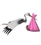 stork_baby_delivery_lw.gif