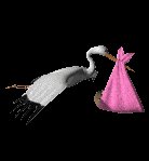 stork_baby_delivery_lc.gif