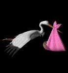 stork_baby_delivery_lb.gif
