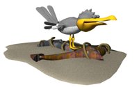 seagull_screaming.jpg