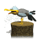 seagull_scream_sw.gif