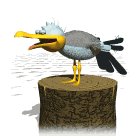 seagull_scream_lw.gif