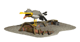 seagull_panting_mw.gif