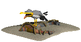 seagull_panting_mc.gif