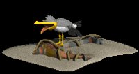 seagull_panting_lc.gif