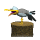 seagull_pant_sc.gif