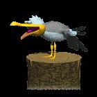seagull_pant_lc.gif
