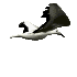 seagull_fly_mc.gif
