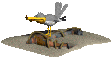 seagull_eating_sc.gif