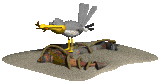 seagull_eating_mc.gif