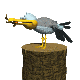 seagull_eating_fish_sc.gif