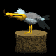 seagull_eating_fish_sb.gif