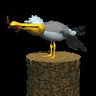 seagull_eating_fish_lc.gif