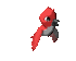 red_parakeet_sc.gif