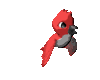 red_parakeet_mc.gif