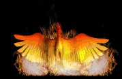 phoenix_flames_lb.gif