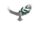 peace_dove_olive_branch_mw.gif