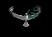 peace_dove_olive_branch_lb.gif