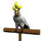 parrot_white_sw.gif
