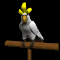 parrot_white_sb.gif
