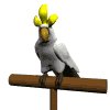 parrot_white_mw.gif