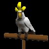 parrot_white_mc.gif