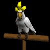 parrot_white_mb.gif