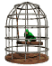 parrot_swinging_cage_sw.gif