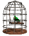 parrot_swinging_cage_sc.gif