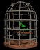 parrot_swinging_cage_sb.gif