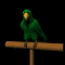 parrot_green_sb.gif