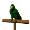 parrot_green_mw.gif