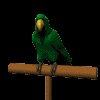 parrot_green_mc.gif