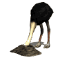 ostrich_headburried_sw.gif
