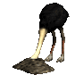 ostrich_headburried_sc.gif
