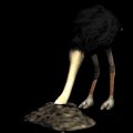 ostrich_headburried_mb.gif
