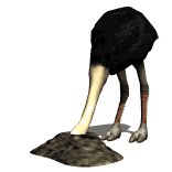 ostrich_headburried_lw.gif